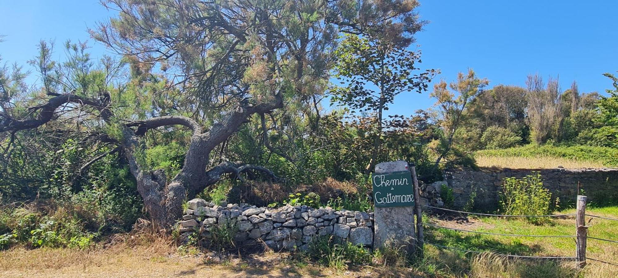 فيلا Relais Des Iles Saint Marcouf المظهر الخارجي الصورة